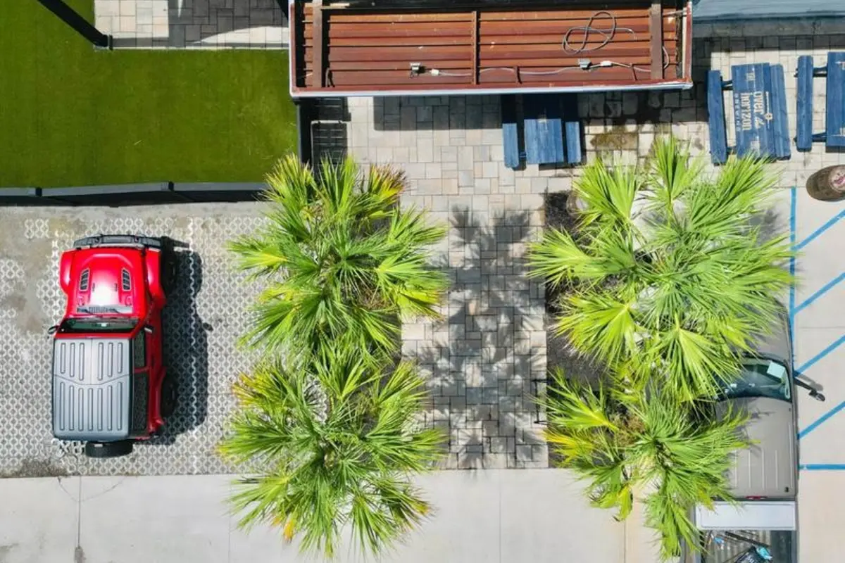 Aerial view of the OTH lot and palmettos